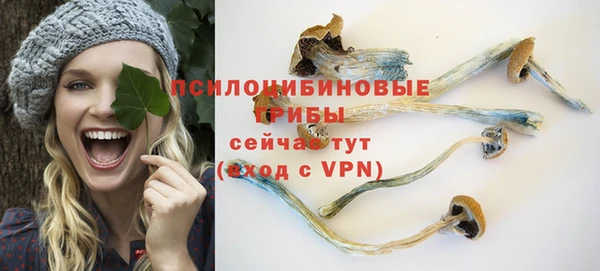 2c-b Карпинск