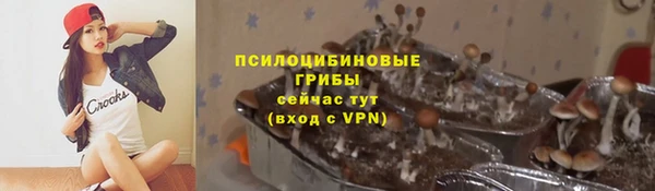 гидра Каменск-Шахтинский