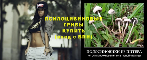 mix Каменка