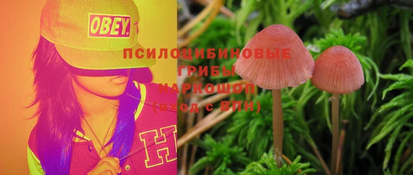 mix Каменка