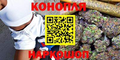индика Жуковский