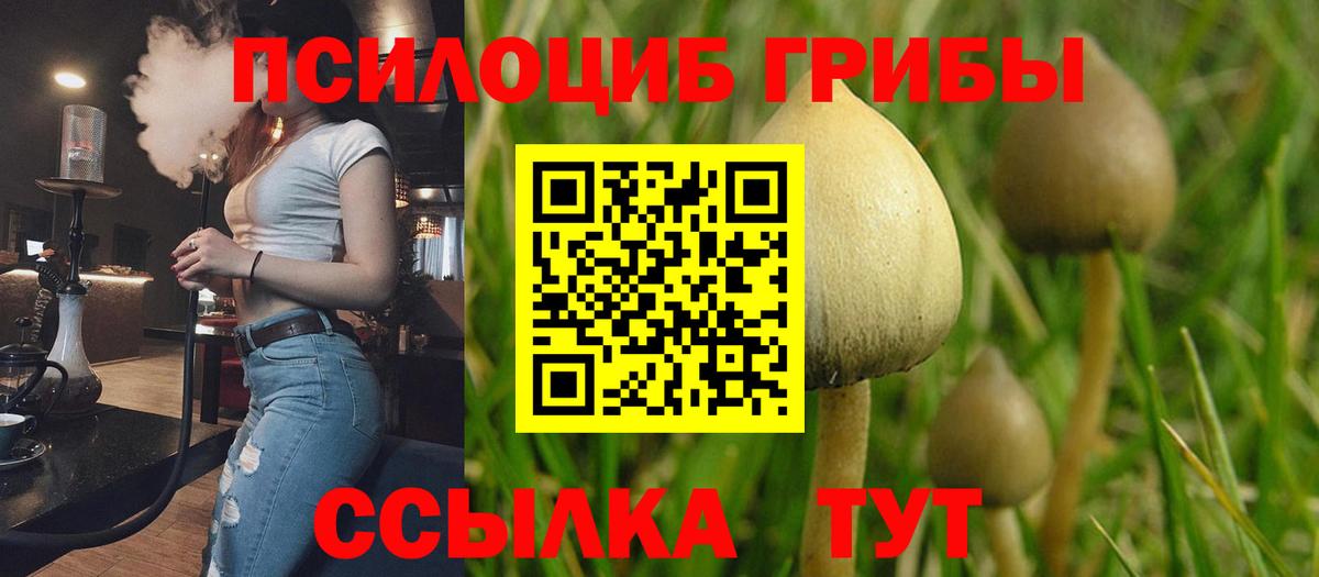 Галлюциногенные грибы GOLDEN TEACHER Краснознаменск
